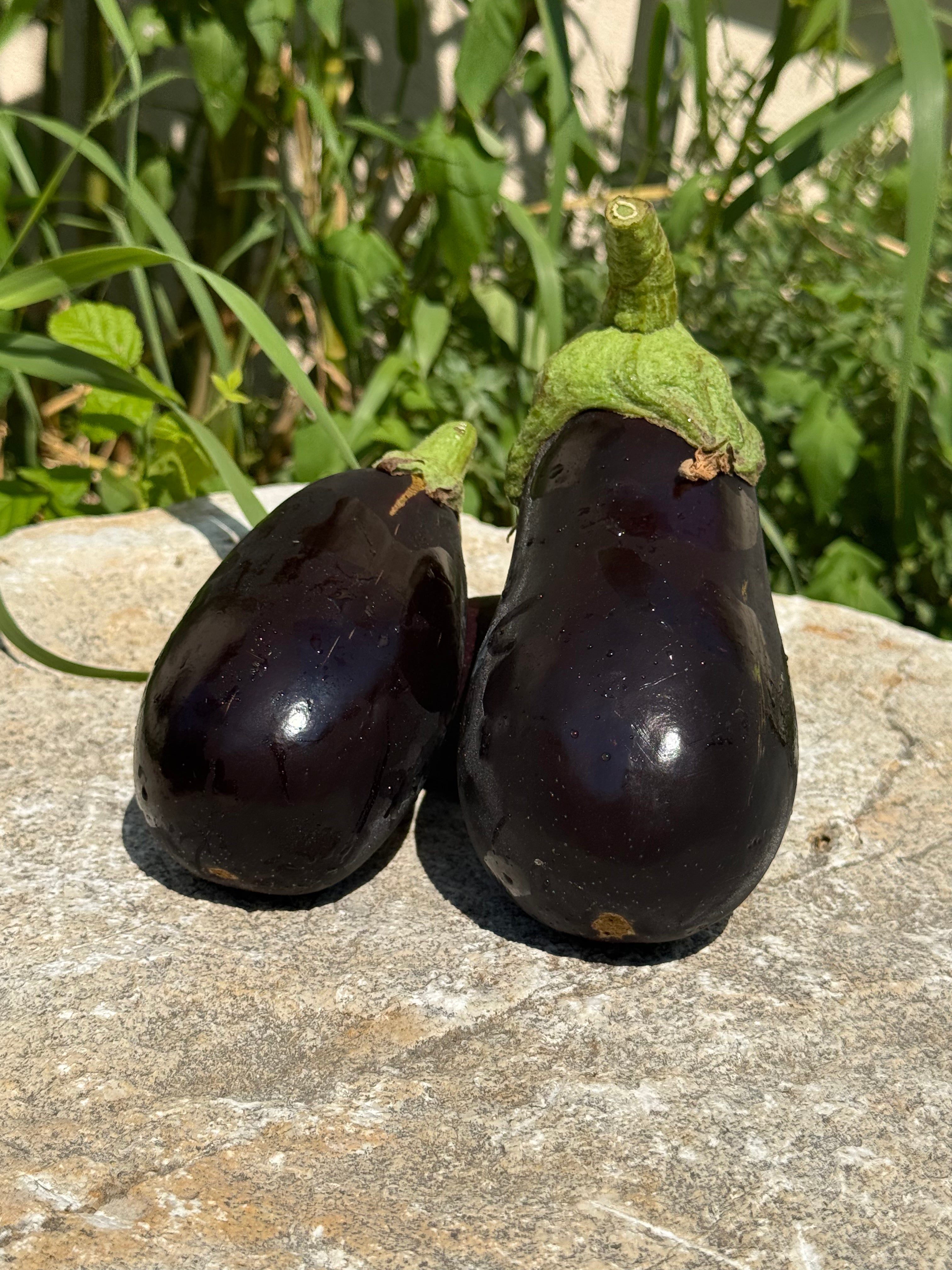 Aubergine AB