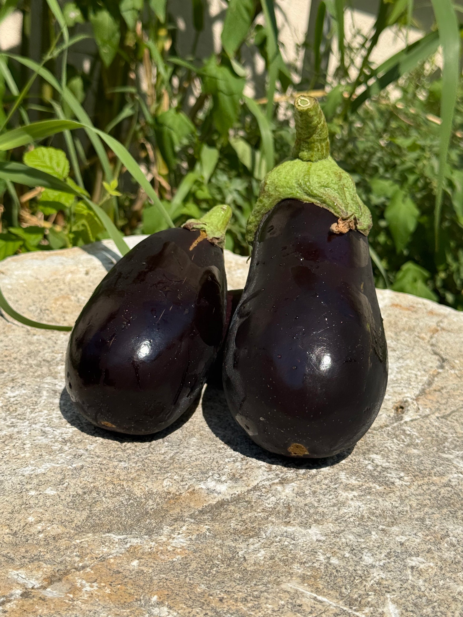 Aubergine AB