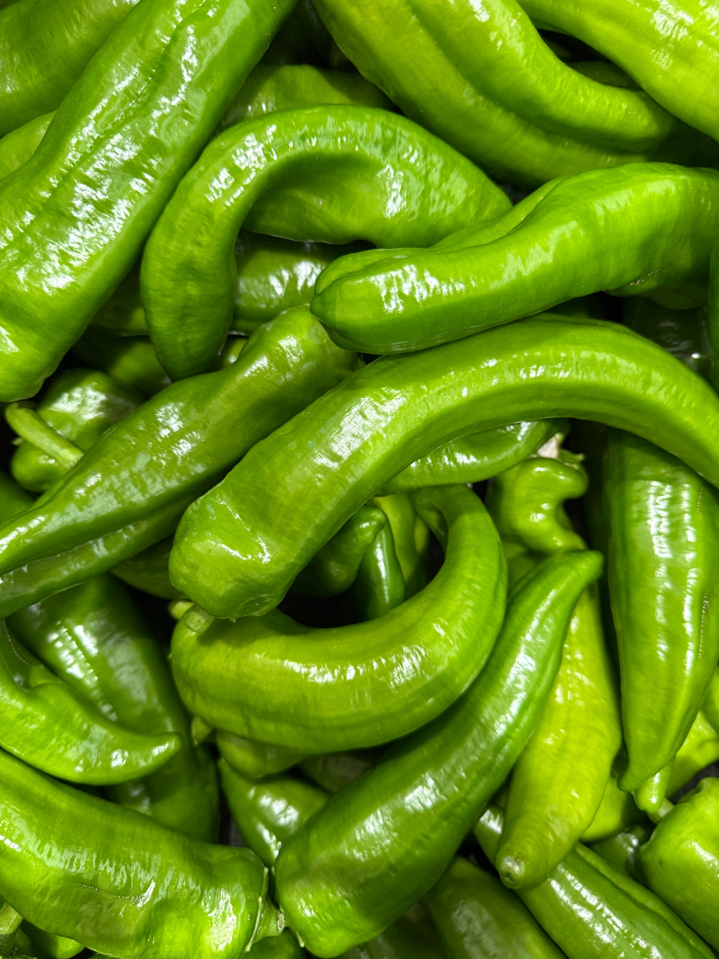 Poivron_salade_vrac AB